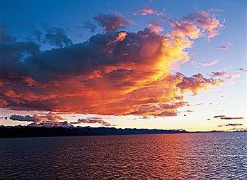 《暗黑破坏神4》第三赛季宠物确认将无法定制外观